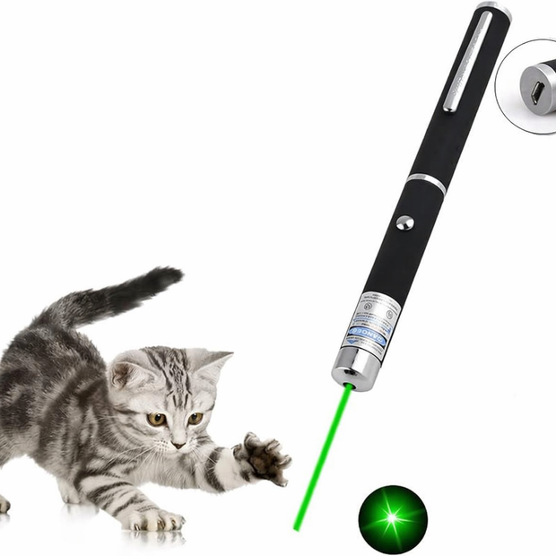 Laser pointeur